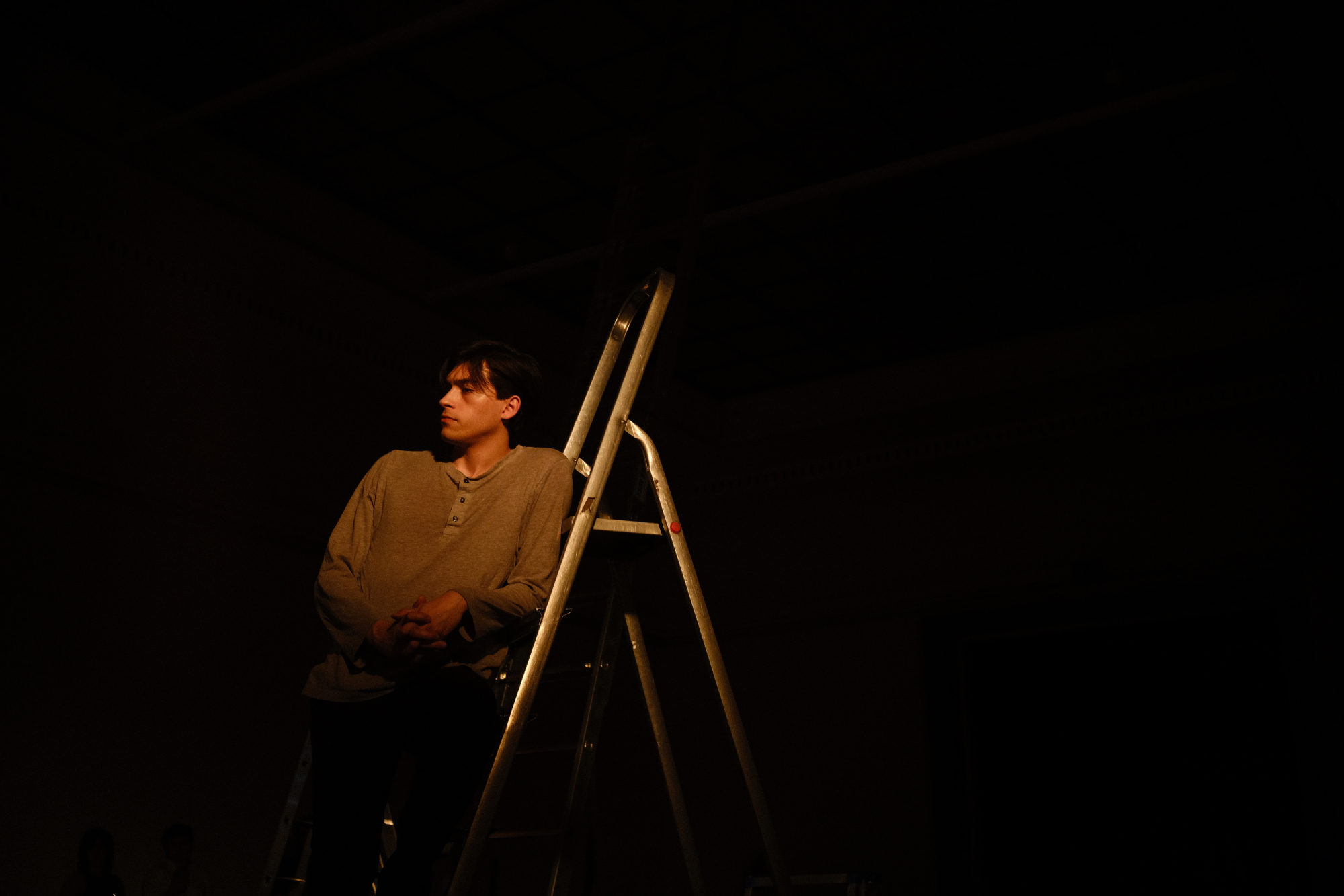 situated ladders (excerpt), 2