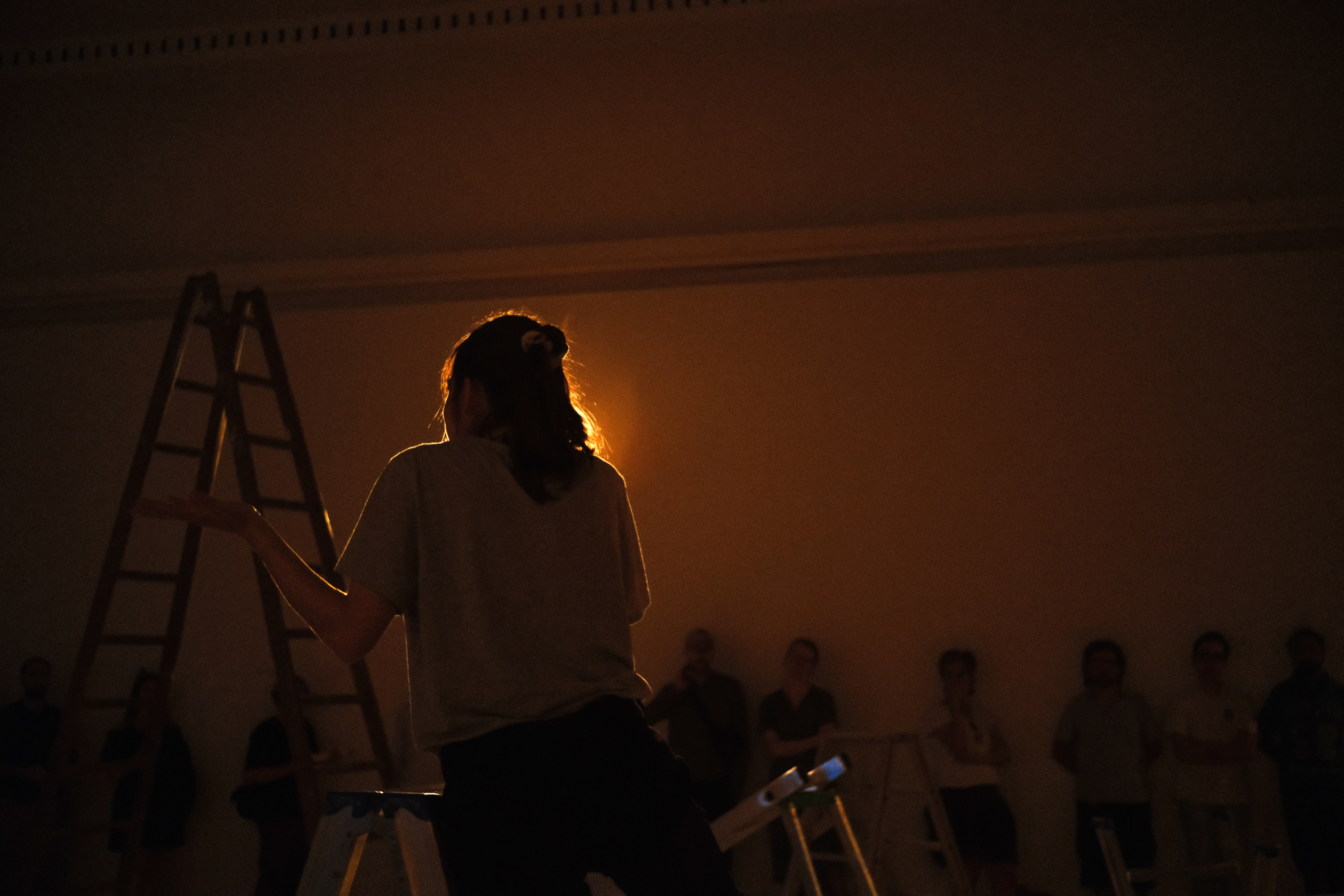 situated ladders (excerpt), 6
