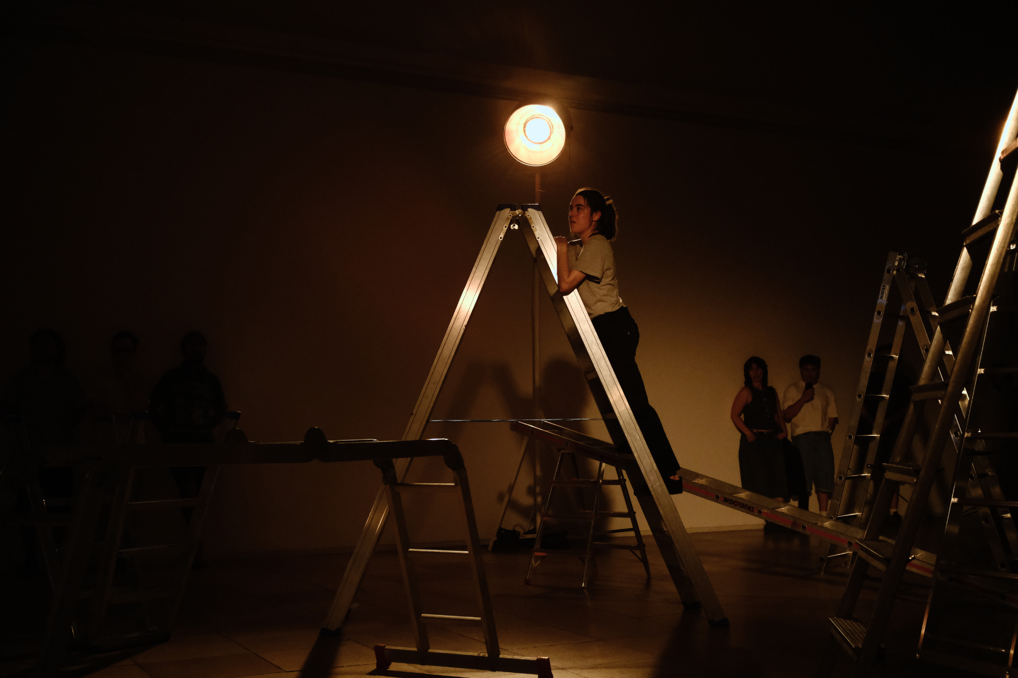 situated ladders (excerpt), 4